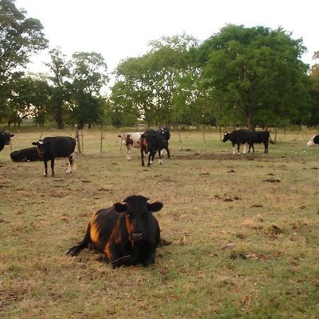 Hotel De Campo La Morena Ezeiza Esterno foto